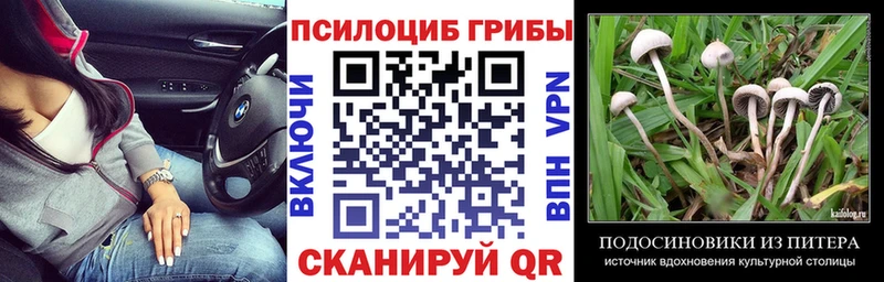 Псилоцибиновые грибы прущие грибы Купить Дубна