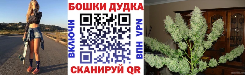Купить  Дубна  Шишки марихуана ГИДРОПОН 